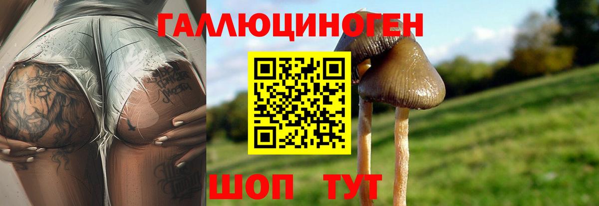 Галлюциногенные грибы мицелий  Псилоцибиновые грибы Cubensis  Вход с VPN  Калуга 